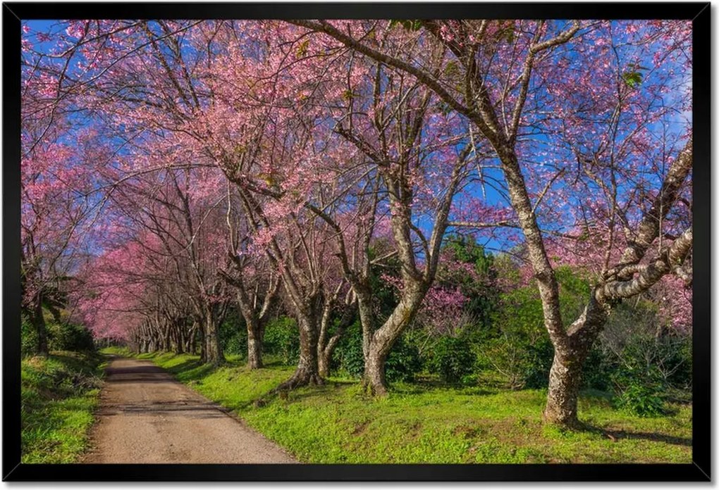 Poszterek keretben 60x40 Virágzó cseresznye
