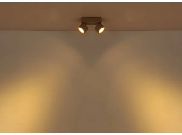 Globo 56961-2S - LED spotlámpa RAE 2xLED/6W/230V