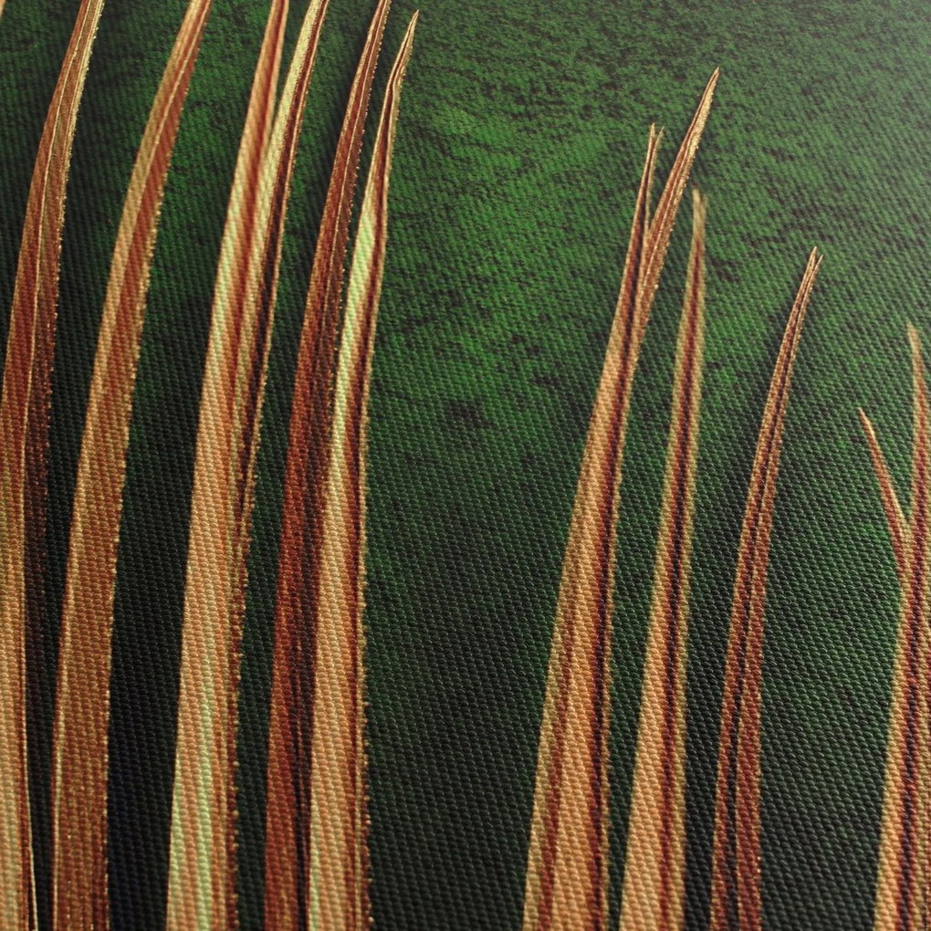 Kép levéllel (120x50 cm)