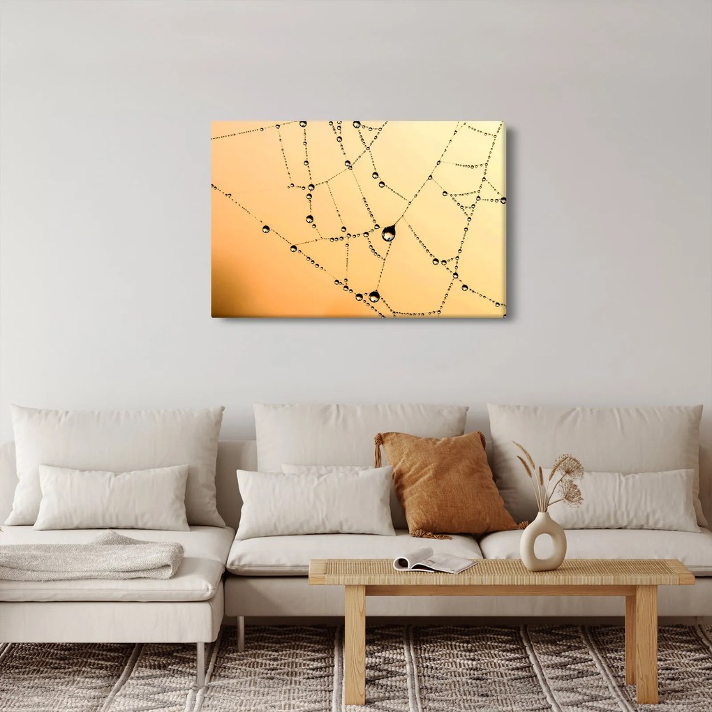 Egy harmatos pókháló képe (90x60 cm)