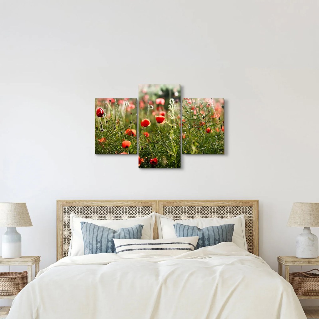 Pipacsok képe (90x60 cm)
