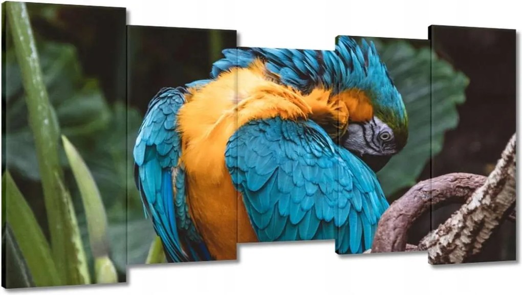 Vászonkép 150x80 Papagájok Madarak
