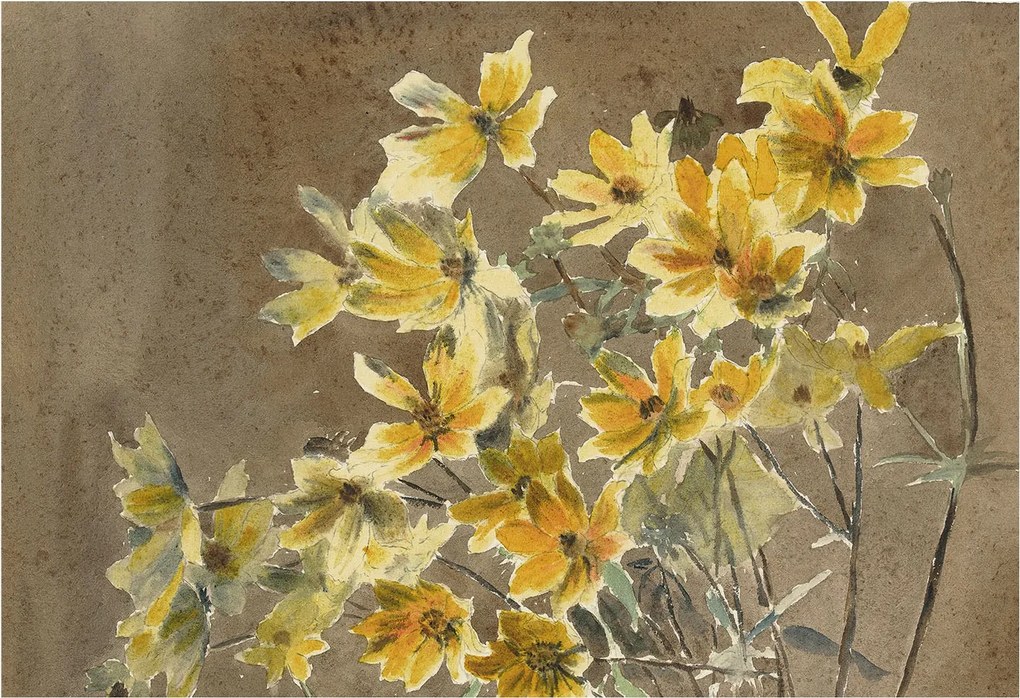 Dekoratív Fotótapéta Hálószobába Napsütötte csokor 152x104