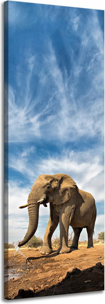 Vászonkép Nagy elefánt a szavannán Homok 40x120 cm