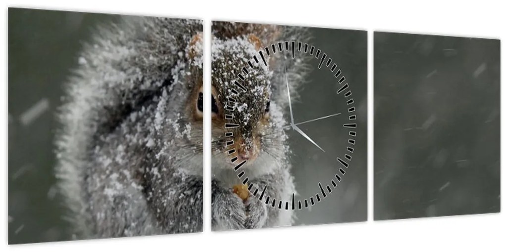 Kép - Mókus télen (órával) (90x30 cm)