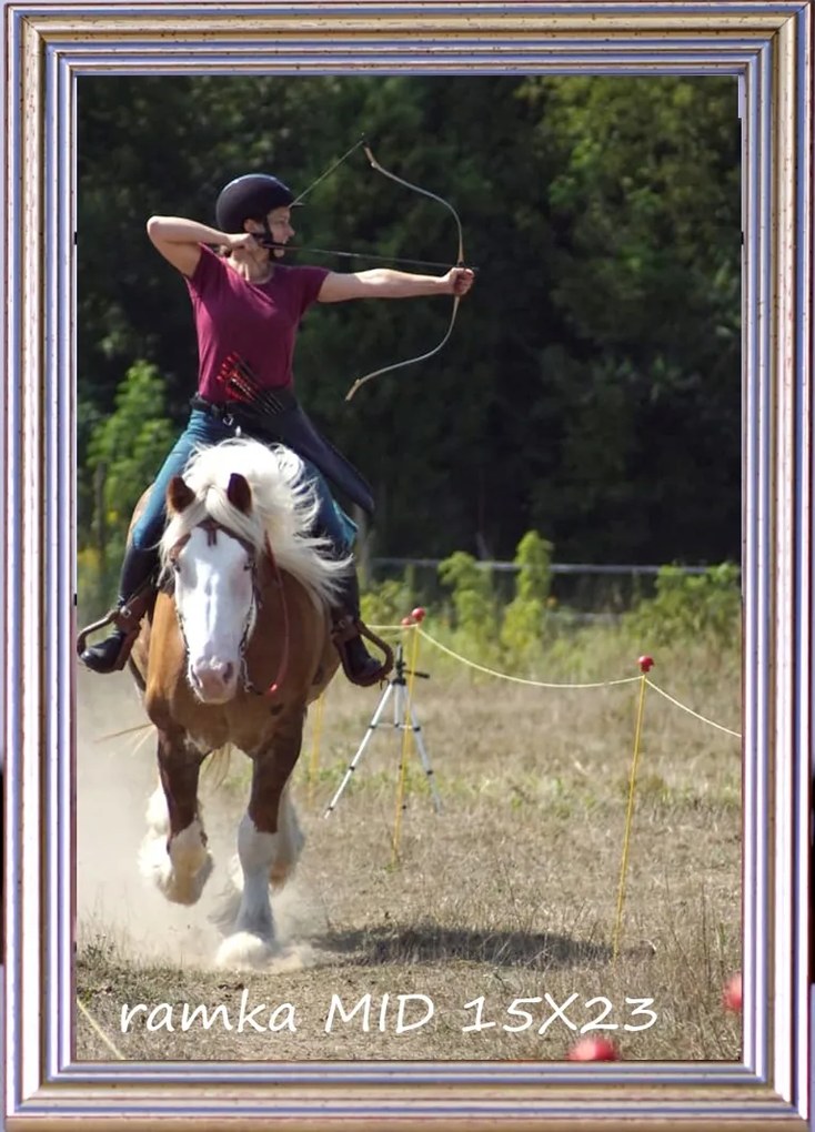 Kész Keret Állításhoz És Akasztáshoz Foto Duo 15X23 15 MM Ezüst