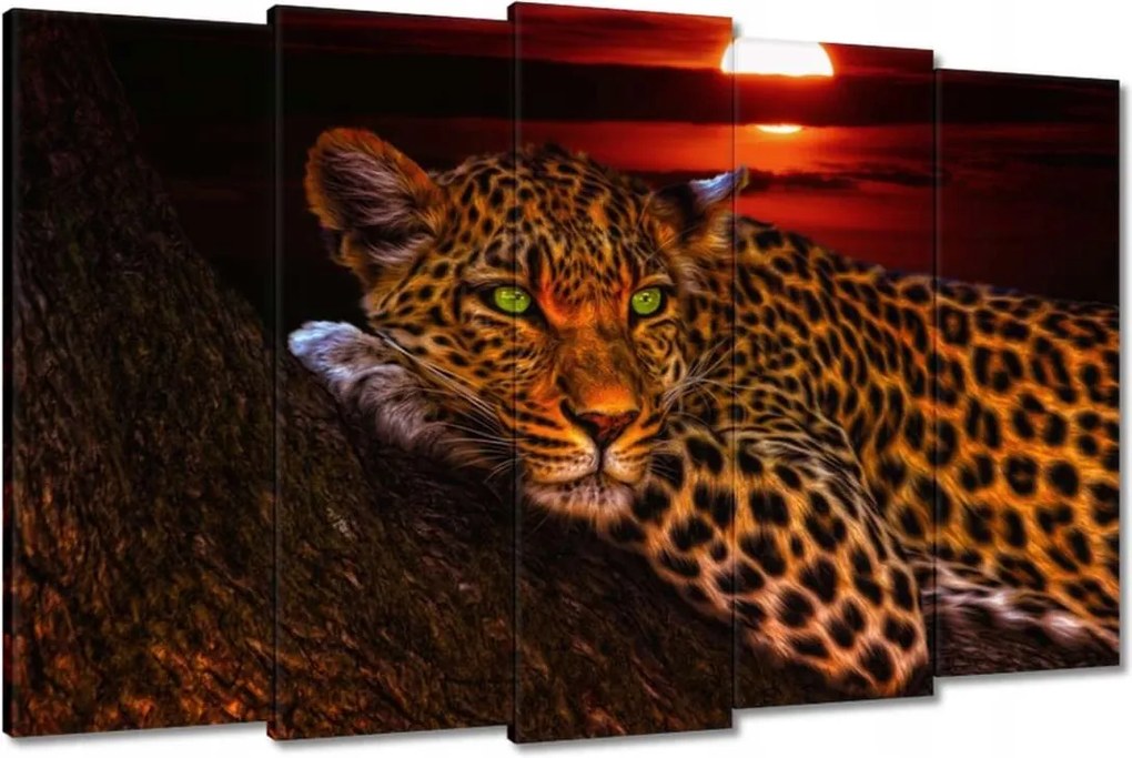 Képek 150x95 Leopárd párduc