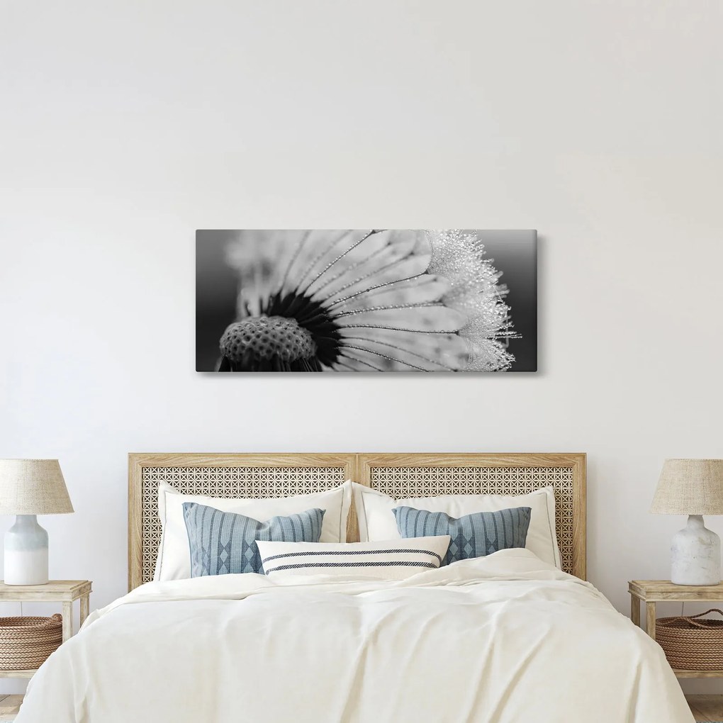 Pitypang képe - fekete fehér (120x50 cm)