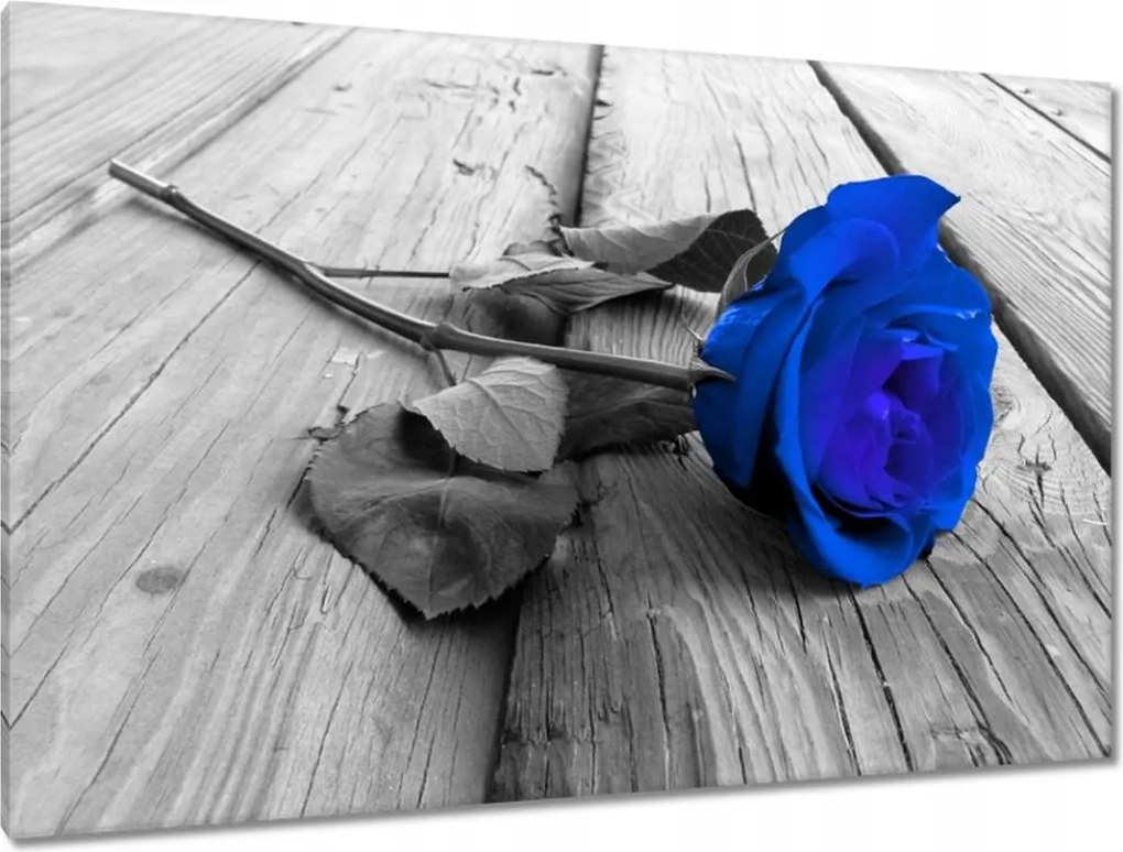 Vászonkép 120x80 Kék rózsa Ajándék