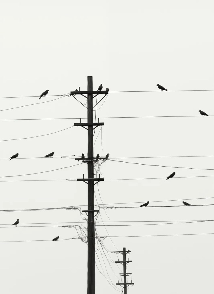 Poszter 40x55cm Szimfónia a drótokon