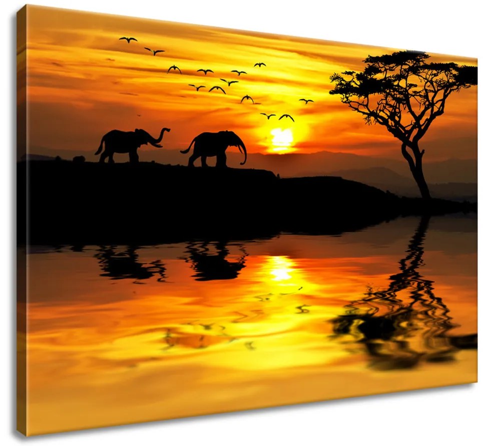 Gario Vászonkép Afrika Méret: 100 x 40 cm