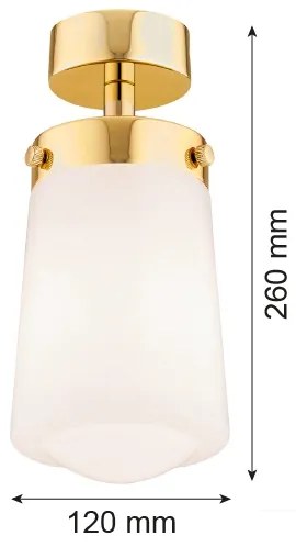 Argon 8005 - Felületre szerelhető csillár PASADENA 1xE27/15W/230V arany/fehér