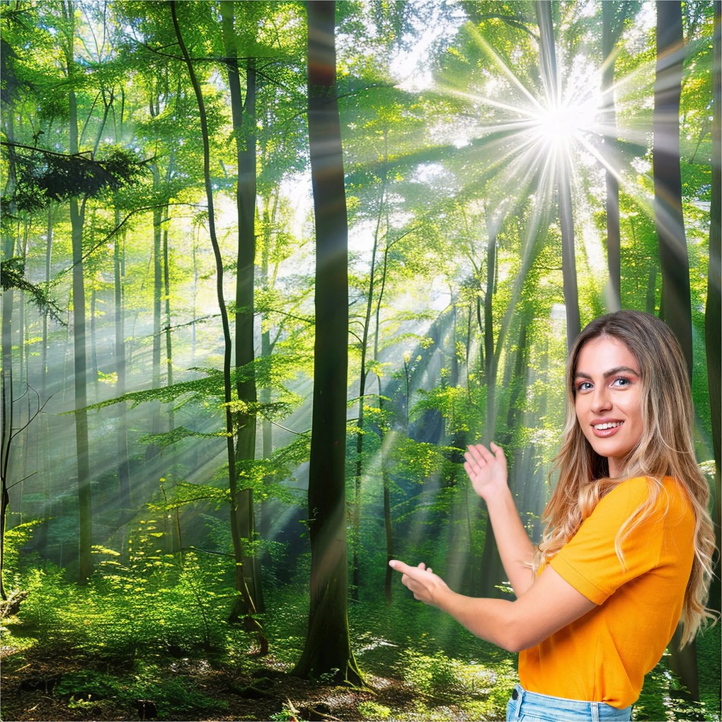 3D fotótapéta Nappali Hálószoba Erdő Fák Nap 392x280 PO11W