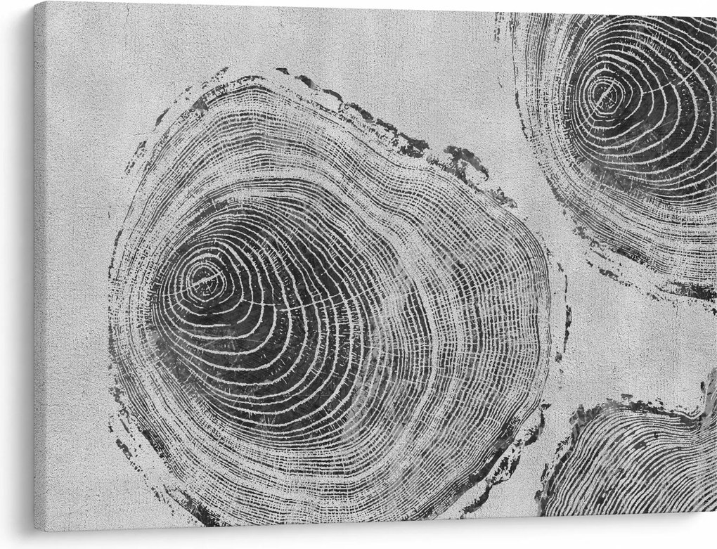 Kép - Fa motívum (70x50 cm)