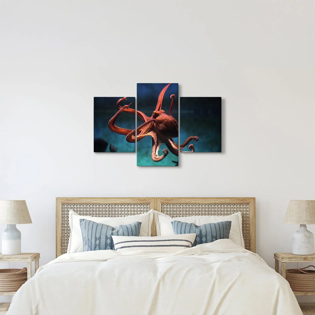 Kép - Octopus (90x60 cm)