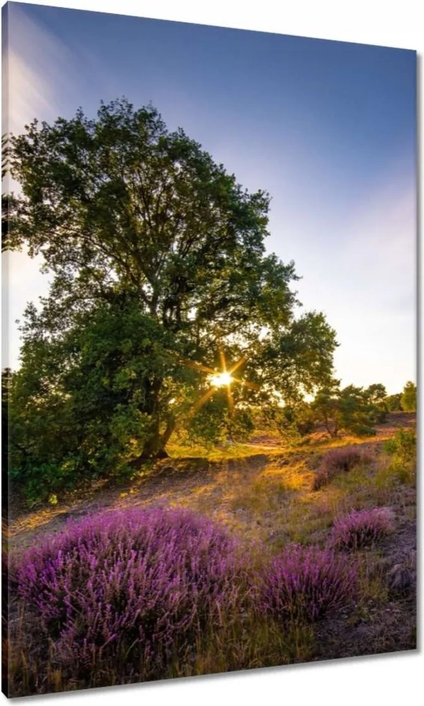 Vászonkép 70x100 Tájkép Látvány