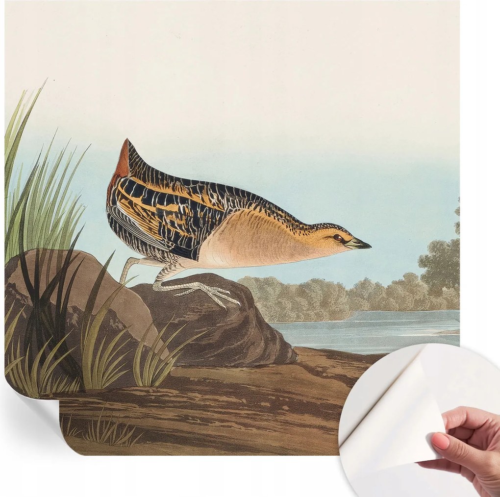 Dekoratív Öntapadós Tapéta Divatos Minták Természetes jelenet 250x250 cm