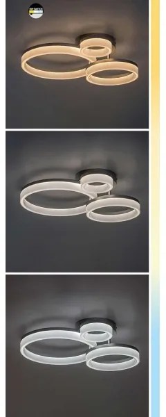 Rabalux 71382 - Dimmelhető LED mennyezeti lámpa ELLINOR LED/40W/230V