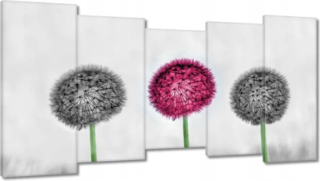 Vászonkép 150x80 Rózsaszín pitypang virág