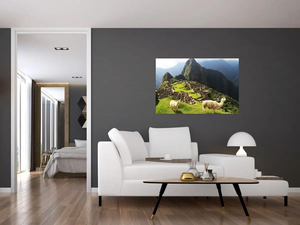 Kép - Machu Picchu (90x60 cm)