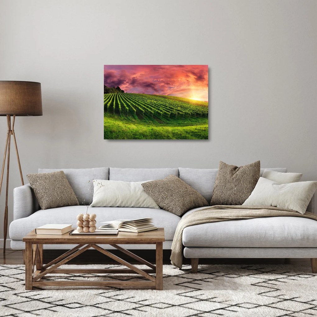 Szőlőskert és a színes égbolt képe (üvegen) (70x50 cm)