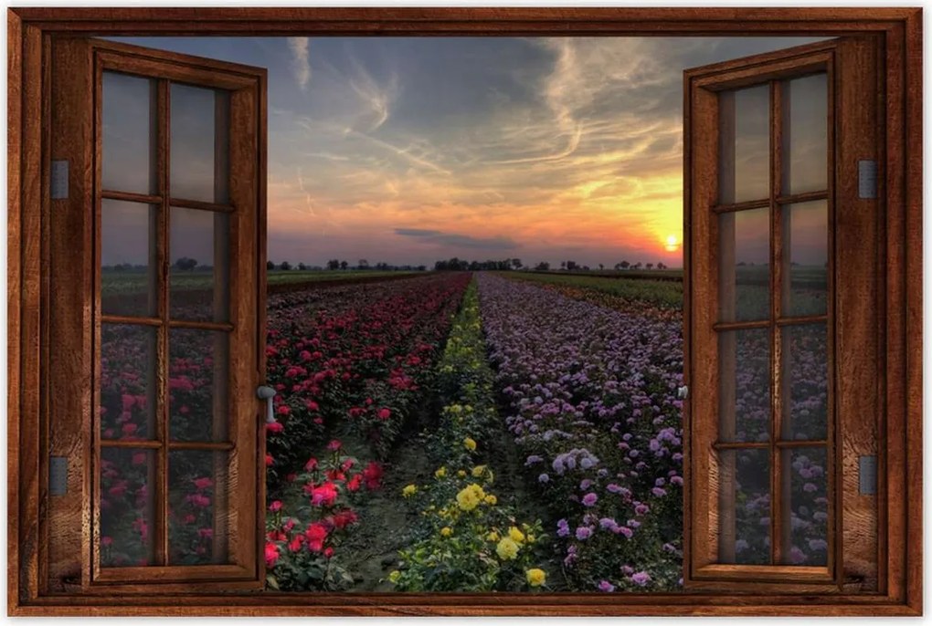 Poszterek 90x60 Nyugat a virágmezőn