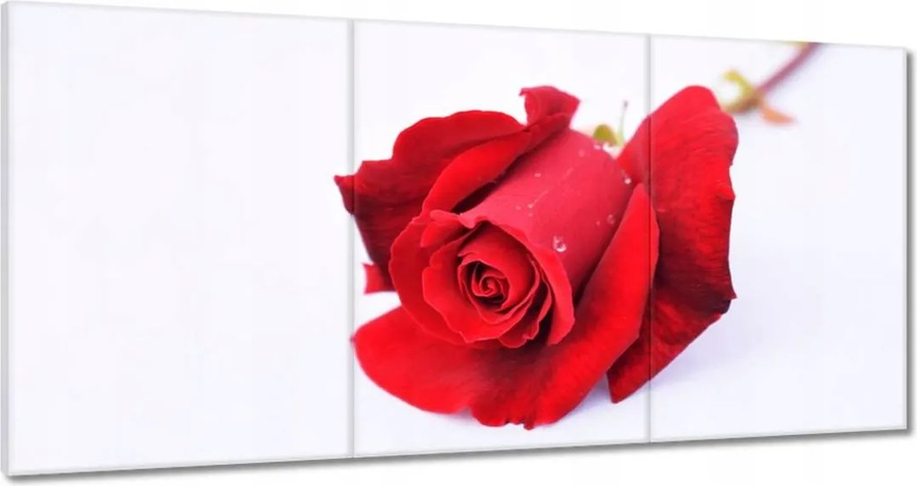 Vászonkép 180x90 Vörös rózsa a hóban