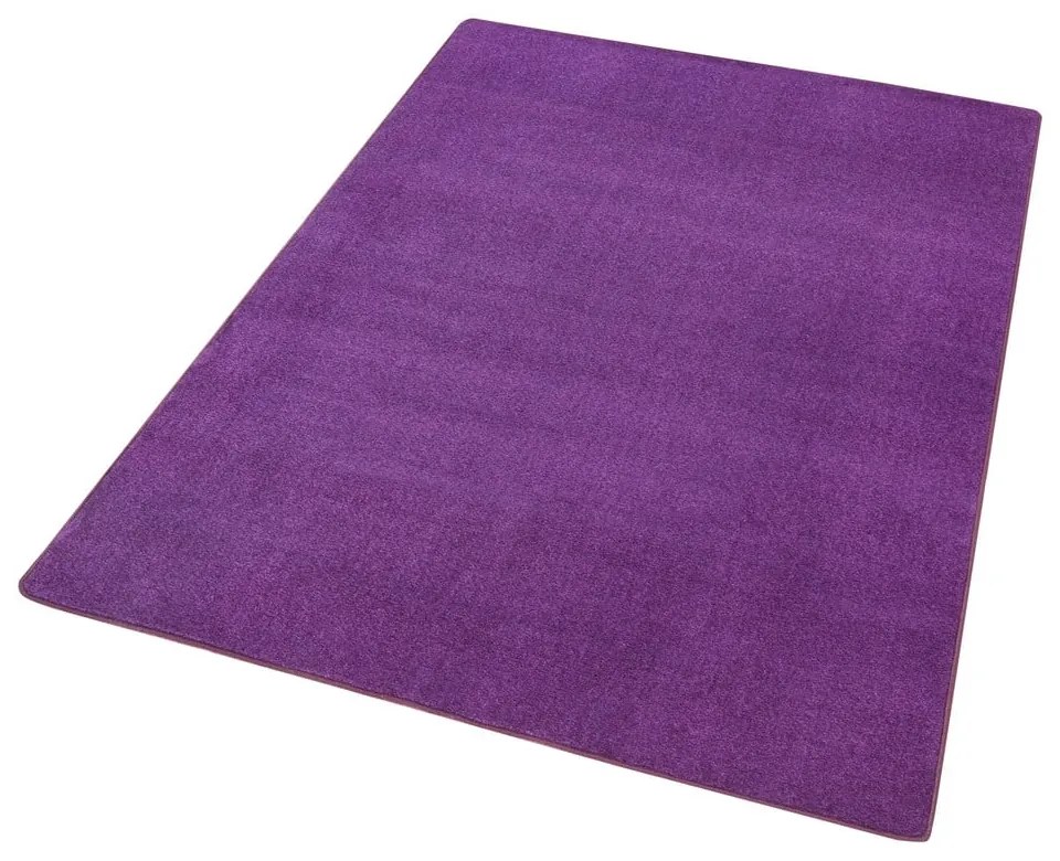 Sötétlila szőnyeg 160x240 cm Fancy – Hanse Home