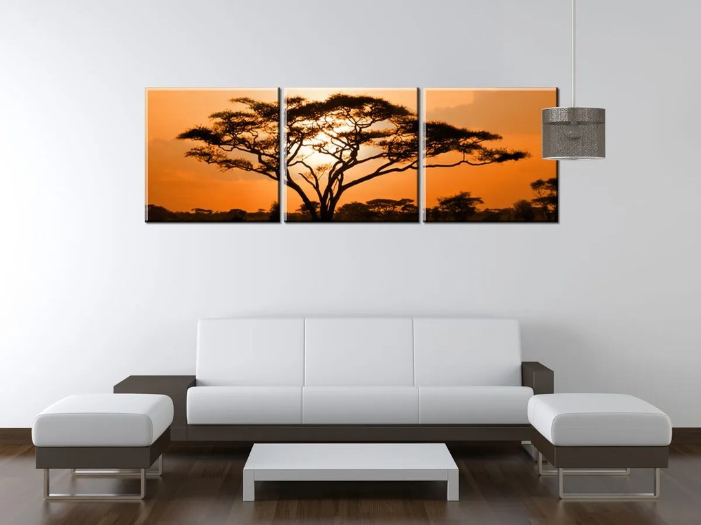 Gario Vászonkép Gyönyöru afrikai táj - 3 részes Méret: 90 x 30 cm