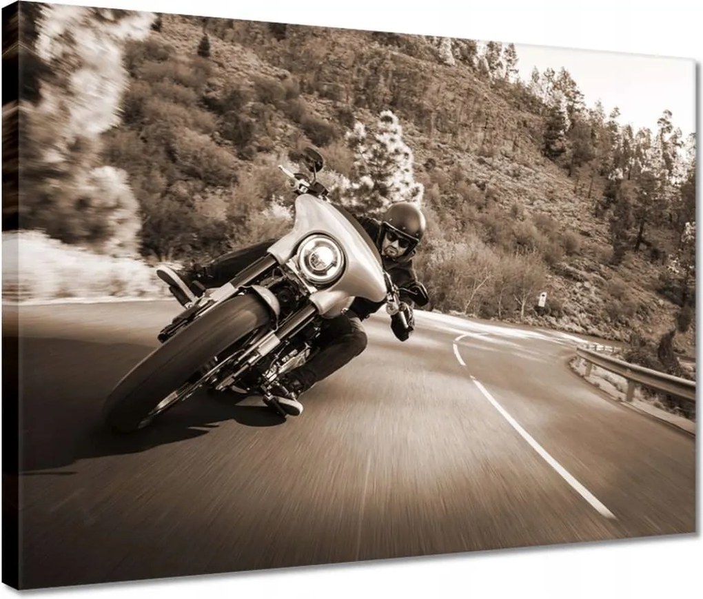 Vászonkép 40x30 Harley Davidson Motorkerékpár