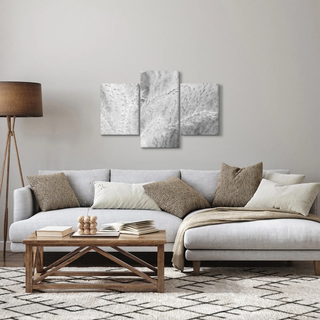 Kép - Pampafű N⁰1 (90x60 cm)