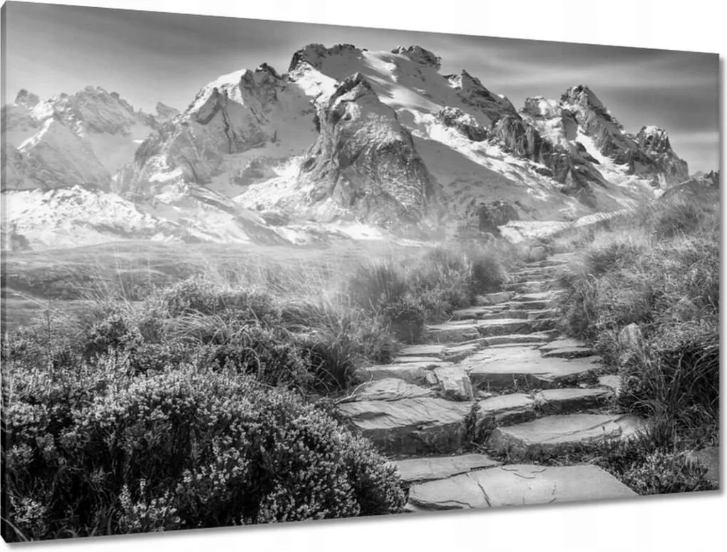 Festmények 120x80 Hegyi kilátás