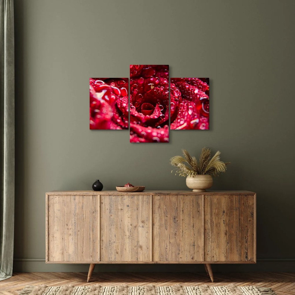 Vörös rózsa virágzata képe (90x60 cm)