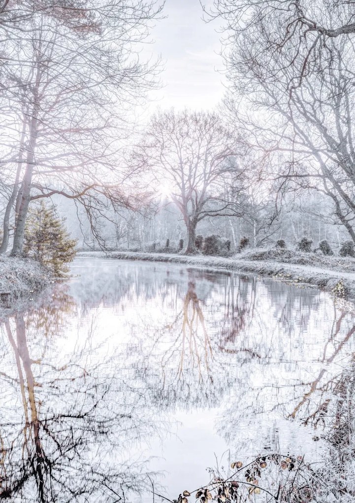 Poszter 21x29,7cm Csatorna fákkal, Assaf Frank