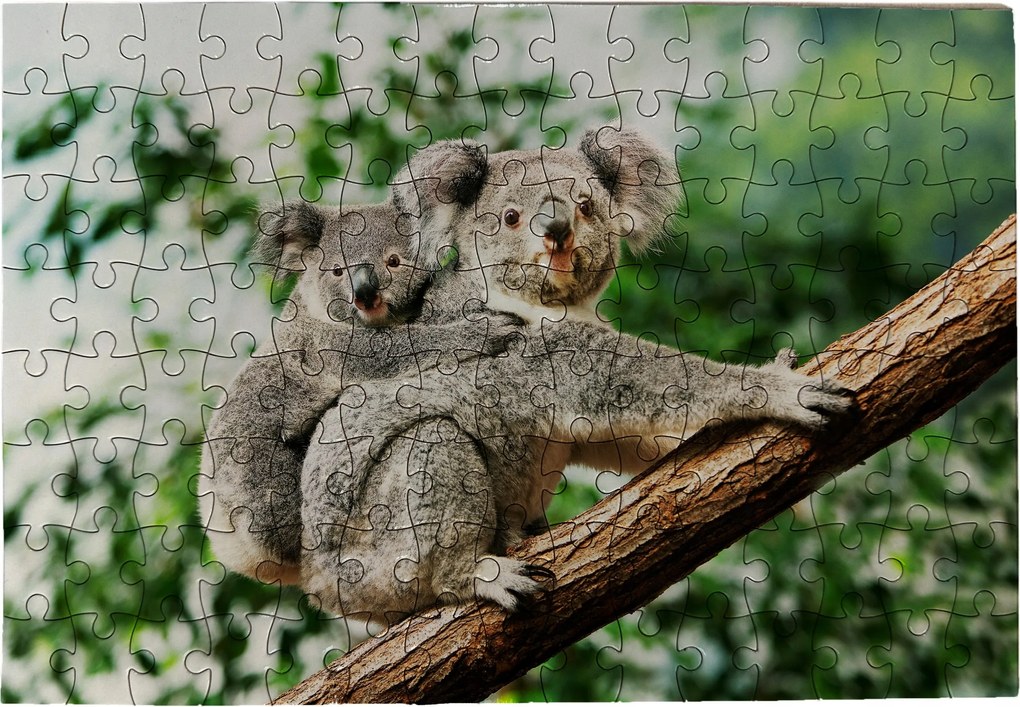 Koala Puzzle 120 db-os 20x30 cm Kirakós Játék