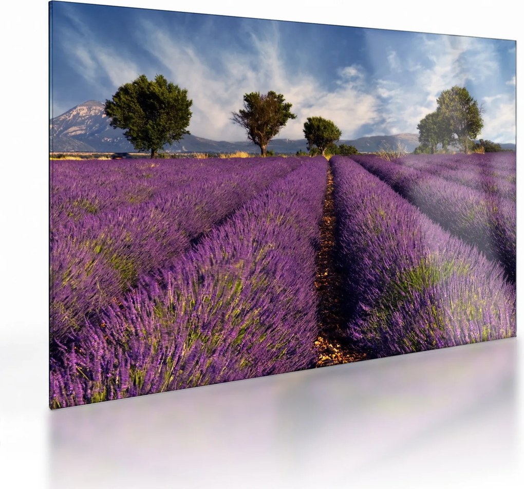 Üveg kép - Levendula mező és hegyek (70x50 cm)