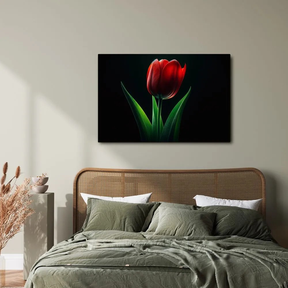 Kép vörös tulipán elegancia