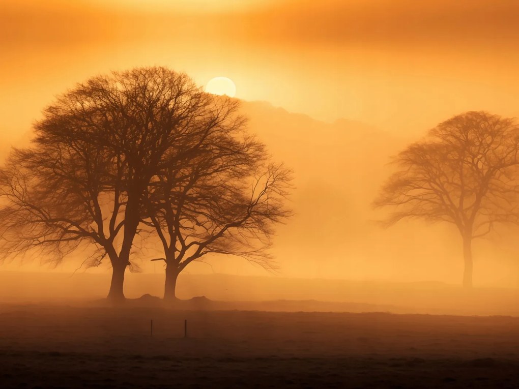 Poszter 40x30cm Alkonyat a tisztások felett