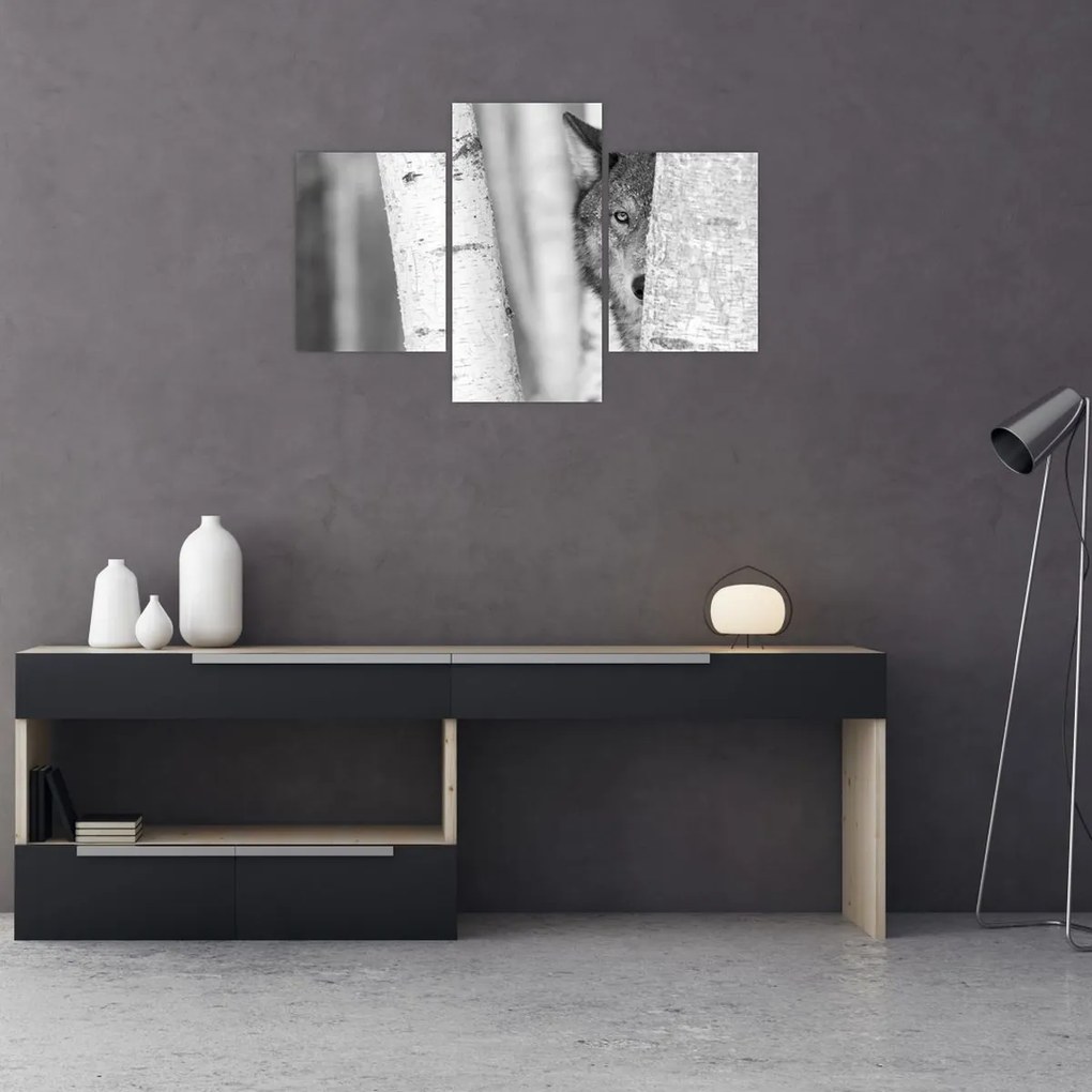 Kép - Farkas az erdőben (90x60 cm)