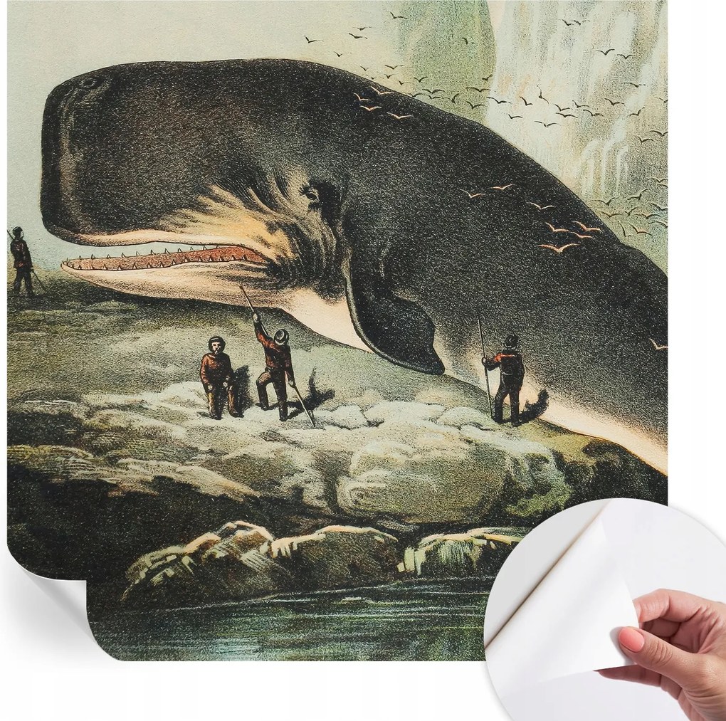 Fotótapéta Öntapadós Fali Falfestmény Tengeri óriás 250x250 cm