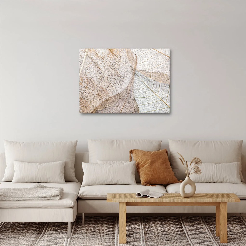 Kép - Bézs levelek (70x50 cm)