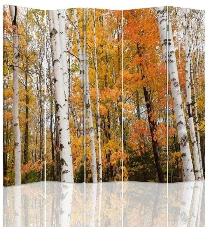 Gario Paraván Nyírfaerdõ osszel Méret: 180 x 170 cm, Kivitelezés: Forgó paraván 360°