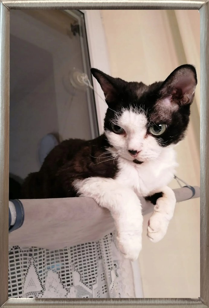 Klasszikus fém képkeret 10x15 ezüst (D121 Bp)