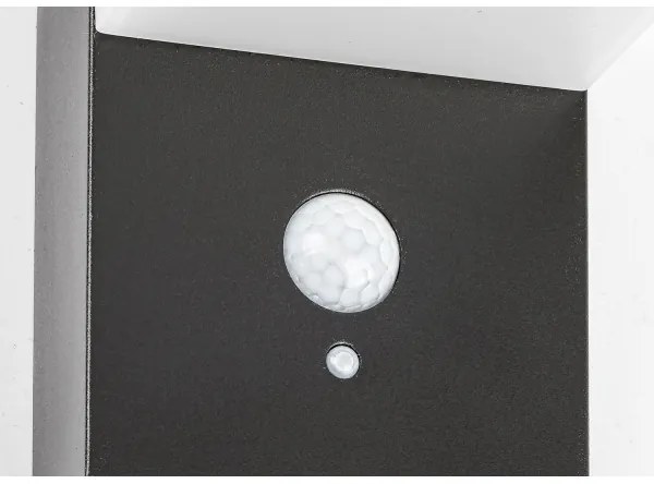 Rabalux 77009 - LED Napelemes lámpa érzékelővel ZREBAR LED/6W/3,7V IP44