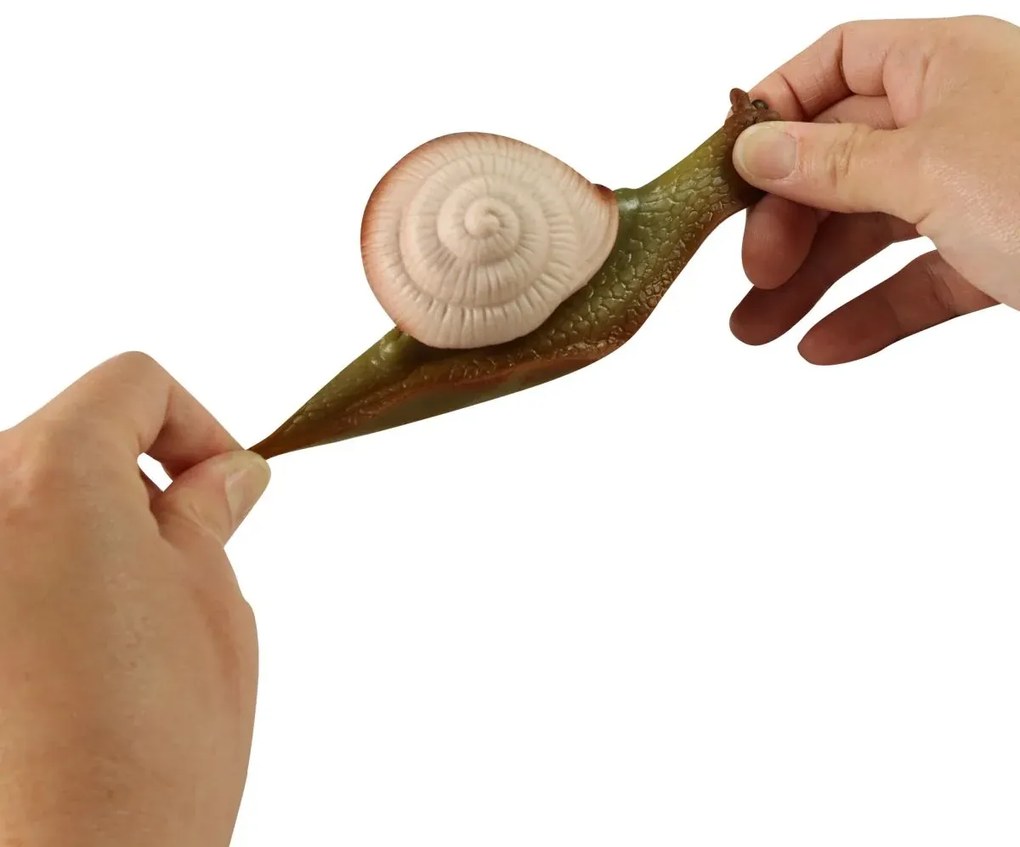 Szilikon csiga kemény csigaházzal - 11 cm