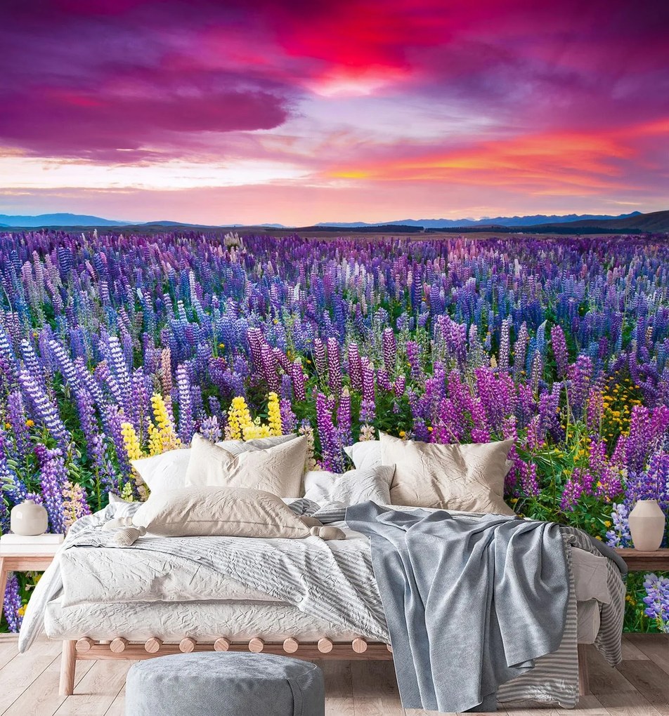 Gario Fotótapéta Heather, virágok a réten Anyag: Vlies, Méret: 200 x 200 cm