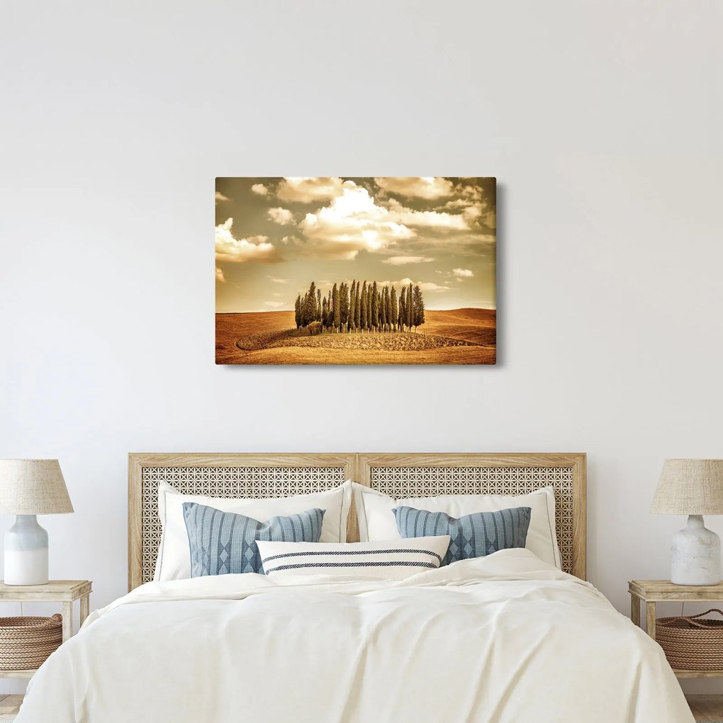 A Tisztás képe (90x60 cm)