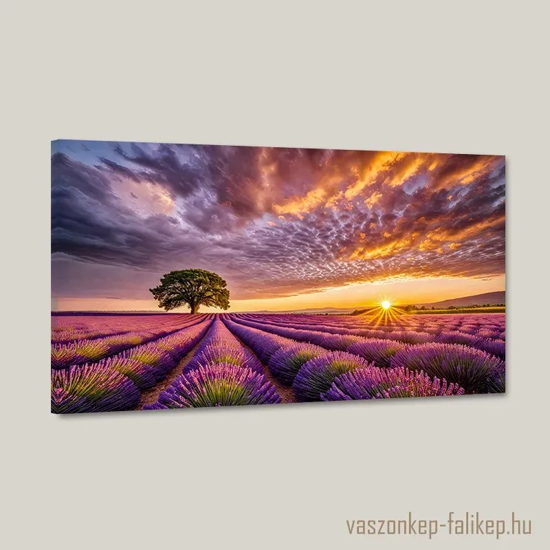 Levendulamező a naplementében – Prémium falikép nyugalmat árasztva 60x34 cm