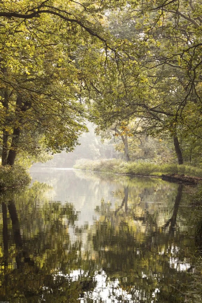 Poszter 40x60cm Csatorna Basingstoke 2, Assaf Frank