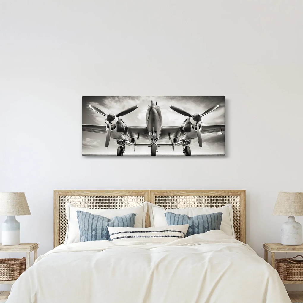 Kép - Warbird (120x50 cm)